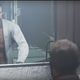 Image for article titled What Wolfenstein 2's Bloody Twist Has To Say About Its Protagonist’s Body